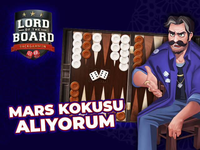 hubogi-lord-of-the-board-ile-geleneksel-tavla-oyununu-renklendir