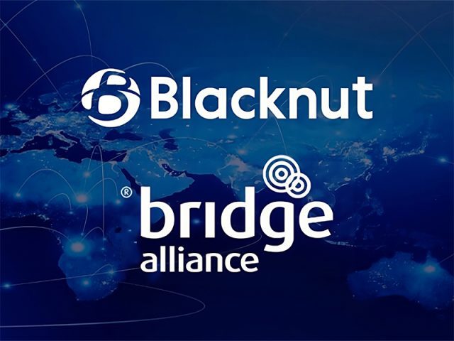 Bridge Alliance, Bulut Oyunlarının Büyümesini Hızlandırmak İçin Blacknut ile Ortaklık Kurdu